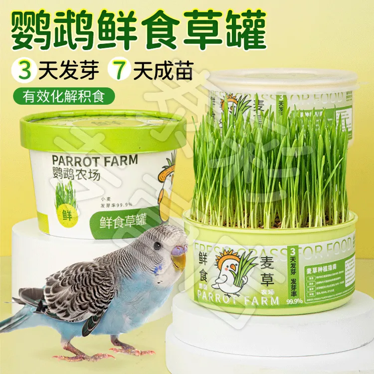 【宠大条】鹦鹉青草盒虎皮牡丹玄凤专用草盒啃咬发芽粮饲料水培种子