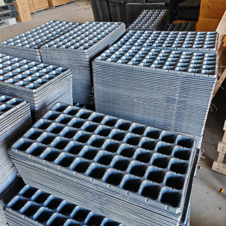 塑料育苗盘穴盘蔬菜育苗盆多肉育苗托盘芹菜辣椒番茄黄瓜草莓育苗