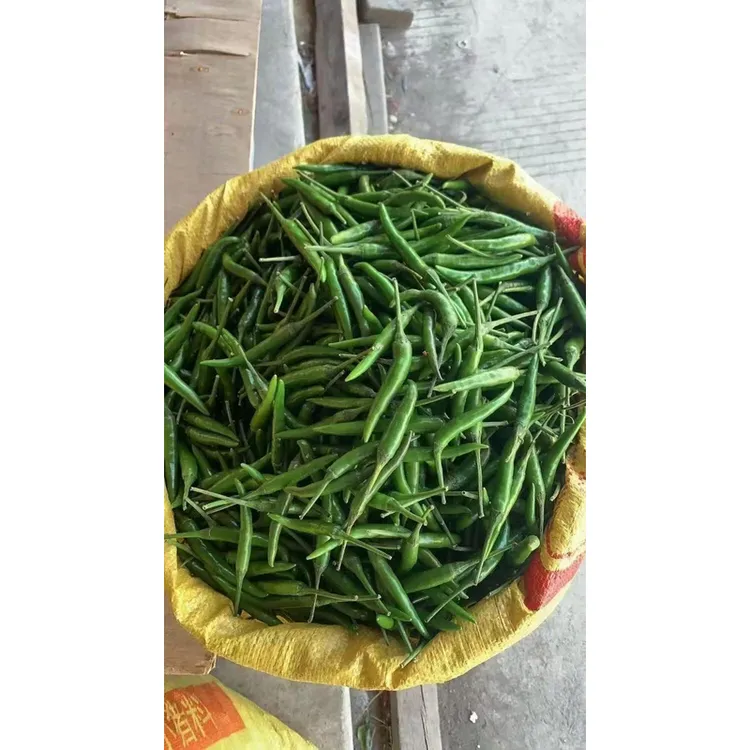 正宗贵州小米辣（特辣）