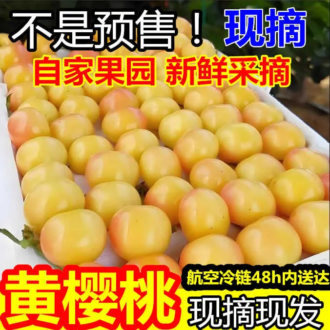 大连大樱桃【空运】黄樱桃7.4日下架错过等一年明珠红绣球雷尼佳红