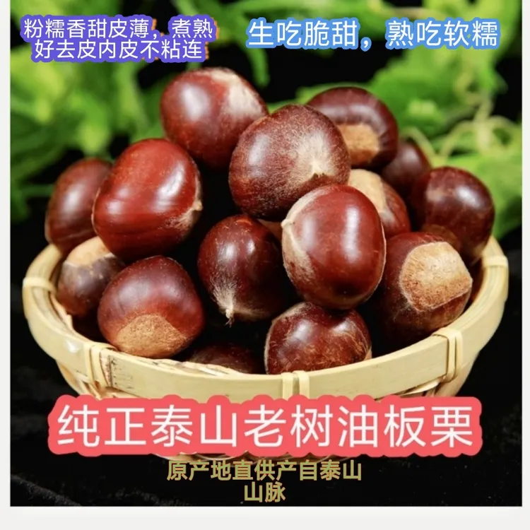 2025新鲜泰山老树油板栗粉糯香甜薄皮黄心带壳自然成熟产地直供