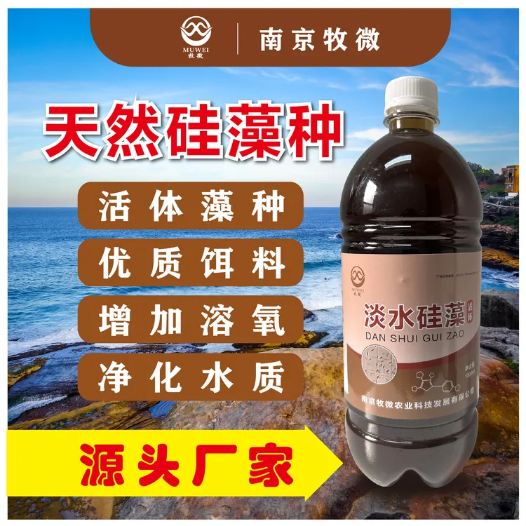 包邮 淡水硅藻 立体产氧 活体藻种 优质饵料水产养殖工厂直发 1箱