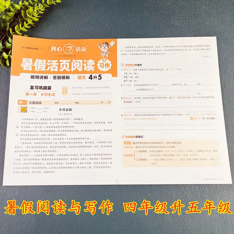 暑假活页阅读四升五暑假阅读理解与写作训练4升5暑假作业练习册