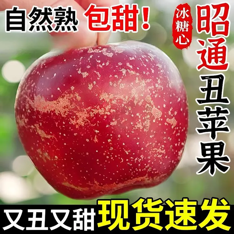正宗昭通丑苹果冰糖心新鲜水果脆甜爽口水分多汁现摘中秋现发