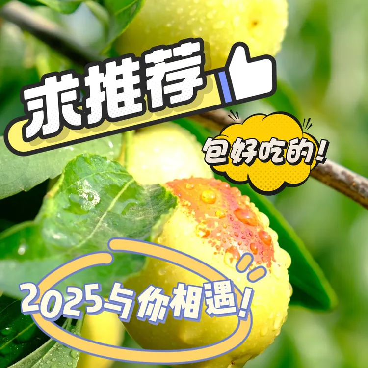 2025陕西大荔冬枣快递包邮现摘现发整箱装净重5斤装中果大果