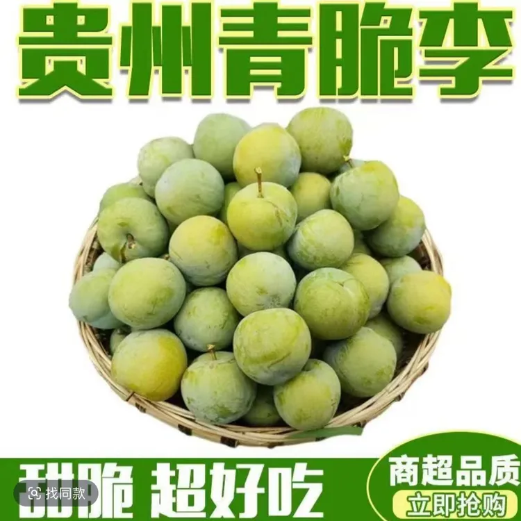 贵州六马打帮脱骨青脆李现摘现发新鲜应季水果四川脱骨脆李子