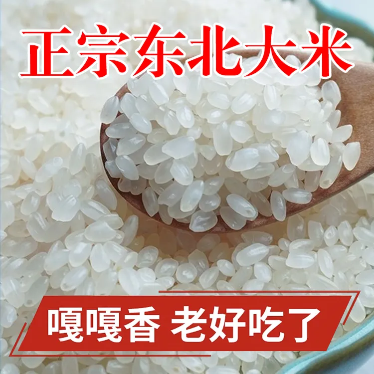【10斤】东北大米当季现磨新米5kg珍珠米优选圆粒大米煮粥清香营养