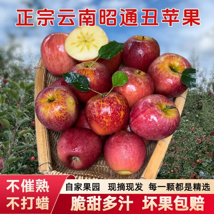 正宗云南昭通高山丑苹果红富士脆甜现摘现发当季精选新鲜水果5斤