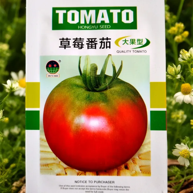 草莓柿子籽(100粒左右)