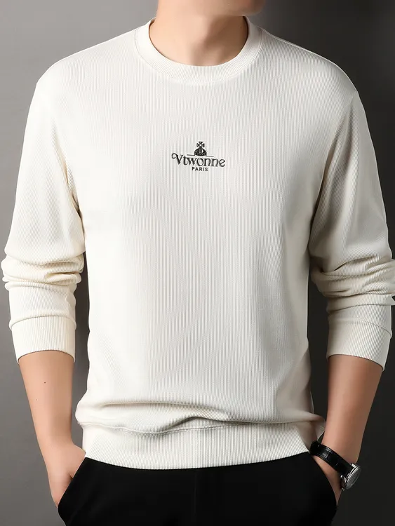 2025秋季新款男士圆领长袖t恤青年宽松休闲潮流百搭打底体恤卫衣