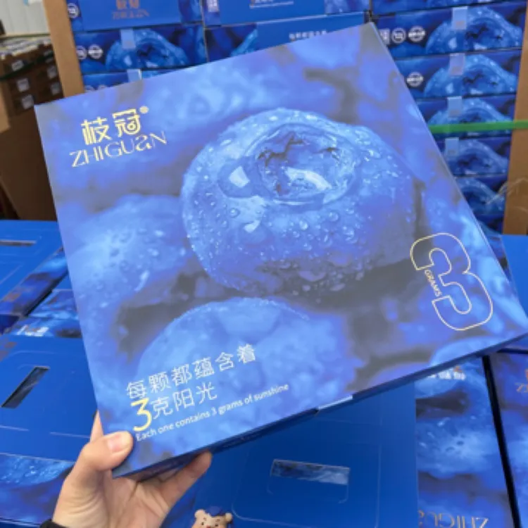 枝冠蓝莓王超能杯18mm+大果9杯*100g孕妇水果当季新鲜礼盒装