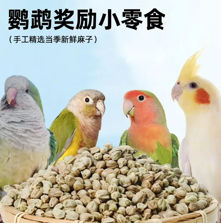 纸壳麻子鹦鹉粮小太阳和尚牡丹玄凤专用训练奖励零食麻籽鸟粮饲料