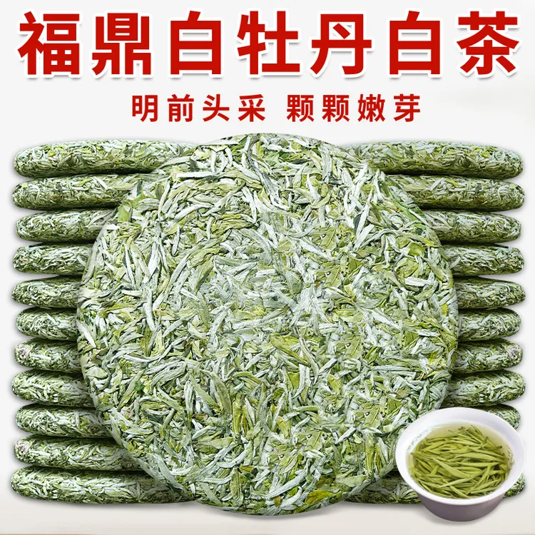 2025年福鼎头采高山新茶花香白牡丹白茶饼明前头采春茶饼嫩芽茶叶