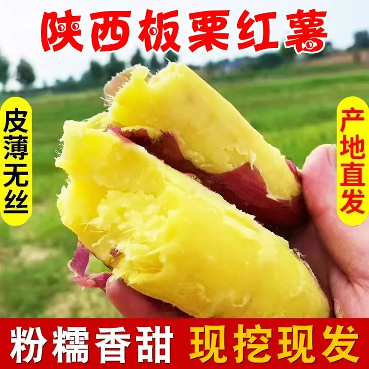 【正宗板栗红薯】陕西临潼板栗红薯粉糯香甜沙地现挖现发9斤