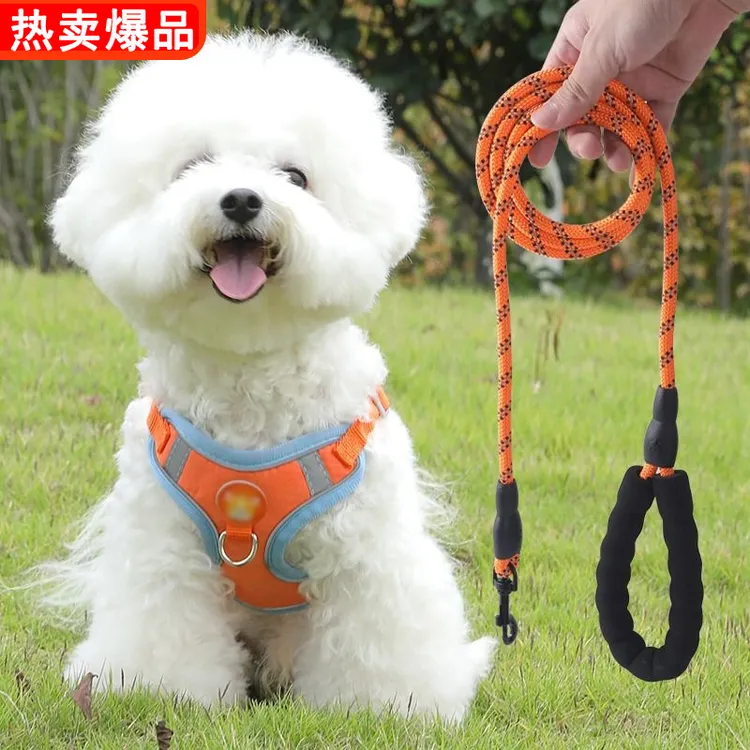 遛狗绳小型犬幼犬牵引绳泰迪狗狗比熊博美狗链子背心式中型胸背带