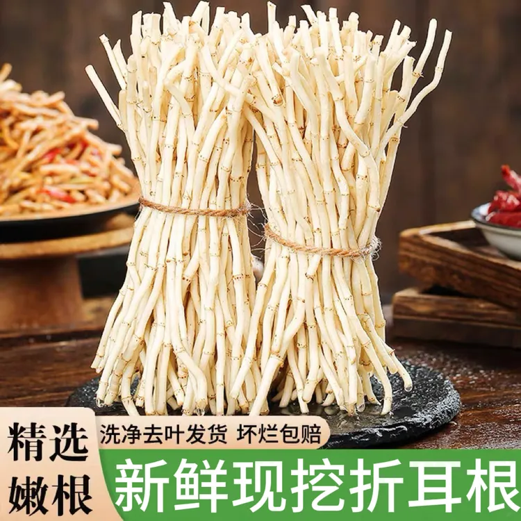 【新鲜现挖】鱼腥草新鲜折耳根精选嫩根湖北节儿根贵州蔬菜农家现挖
