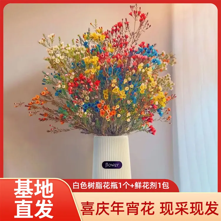 鲜切澳洲腊梅花卉年宵花云南基地直发客厅花束带花瓶室内摆件