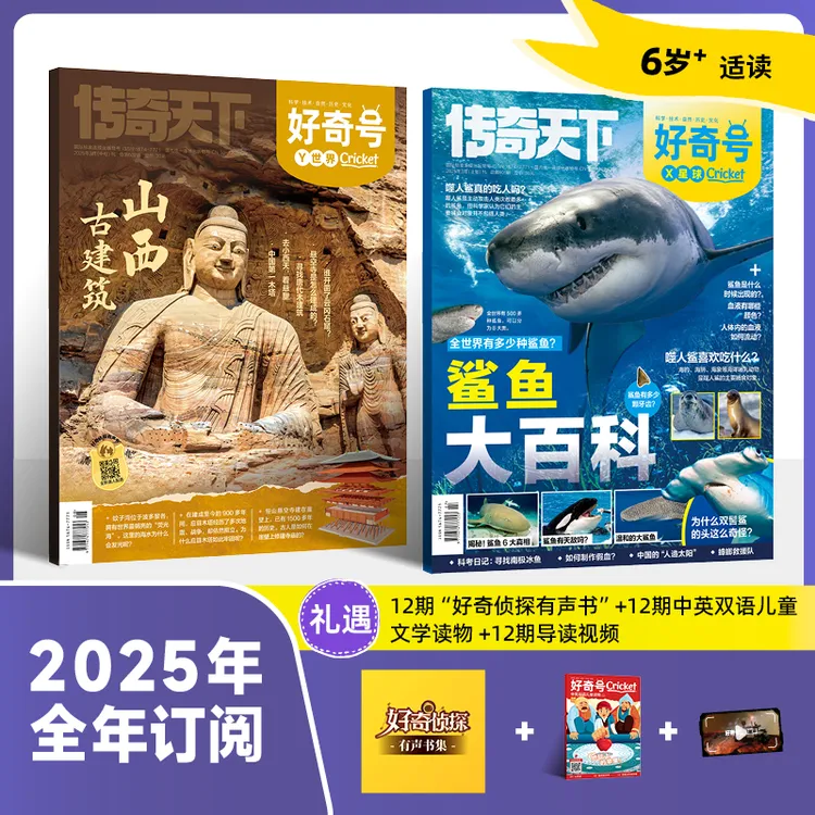 奇想岛童书 ·【好奇号】【2025全年订阅】（24册）小学生科普杂志