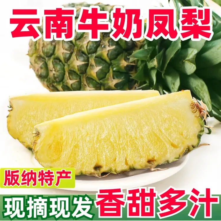 无品牌云南西双版纳黑钻凤梨新鲜树上熟当季水果酸甜爆汁无眼包邮
