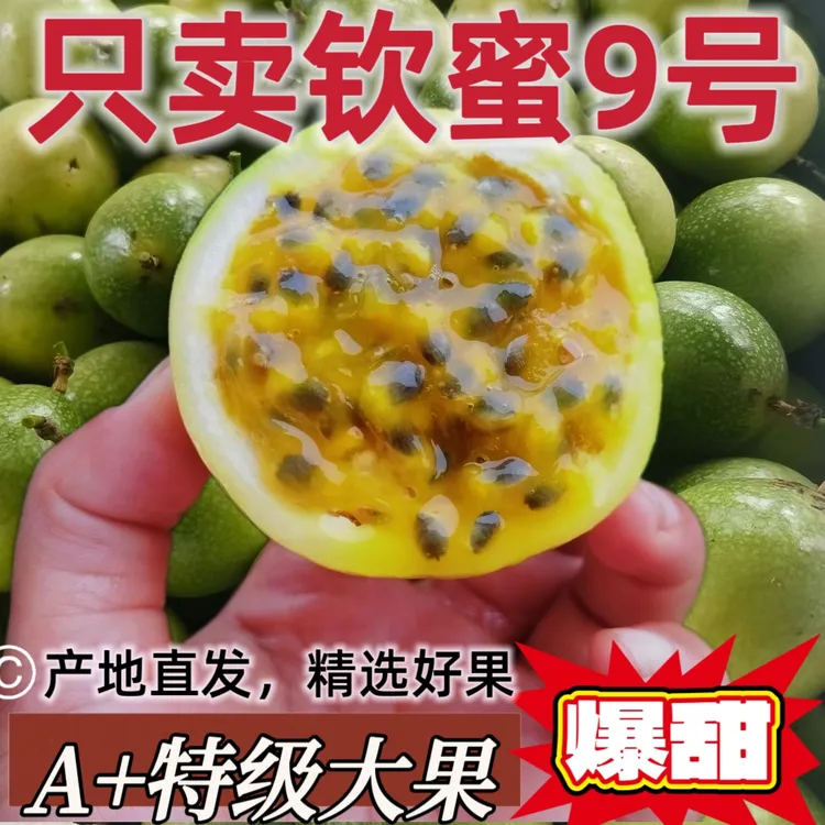 云南当季新鲜香甜多汁大果王钦蜜9号百香果九号产地直发饱满美味