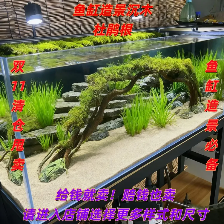 造景鱼缸莫斯树沉木杜鹃根一木成景水草树家用小米鱼缸装饰摆件