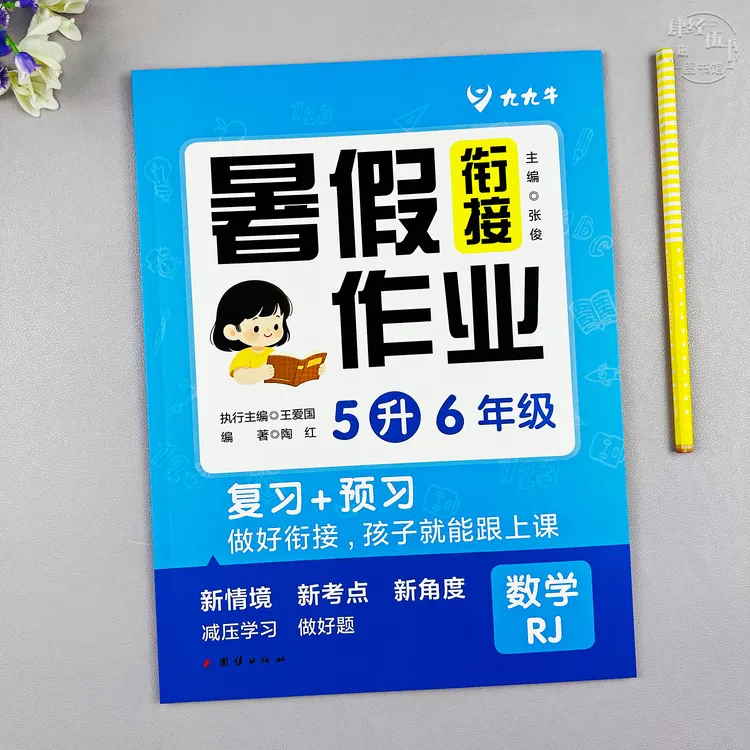 数学五升六年级暑假衔接作业人教版五年级数学暑假作业复习预习