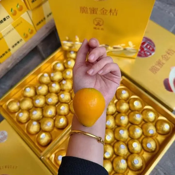 正宗广西脆蜜金桔，当季无籽甜果，冷链新鲜送达！