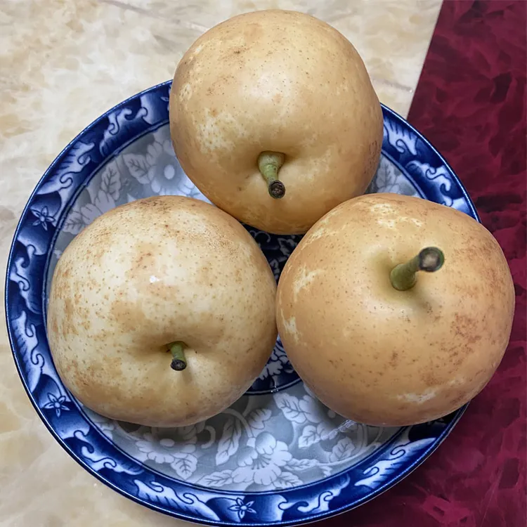 正宗连州潭岭水晶梨现摘现发脆甜多汁当季水果5斤/10斤