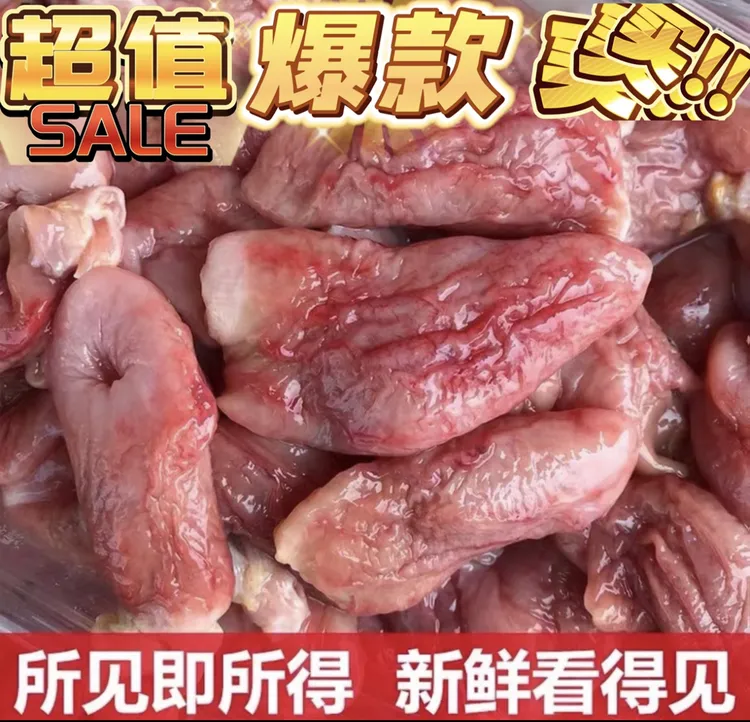 新鲜红斑鱼肚海鲜水产食材