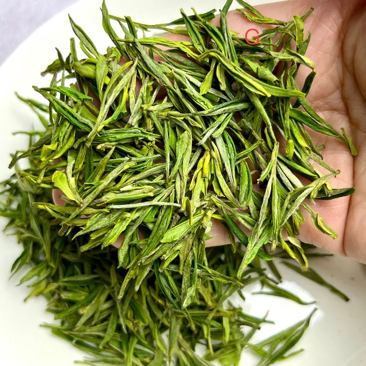 新茶G 明前白茶400#