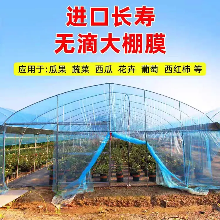 PO膜大棚膜长寿膜无滴膜厂家尺寸定制批发高透光PO膜农用大棚塑料