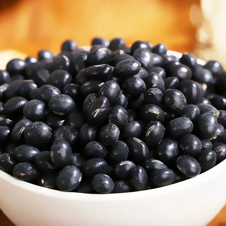 东北黑豆乌豆颗粒饱满五谷杂粮