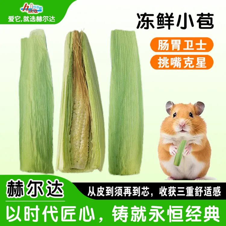 新品仓鼠冻干零食兔零食荷兰猪龙猫玉米笋零食宠物冻干专用零食