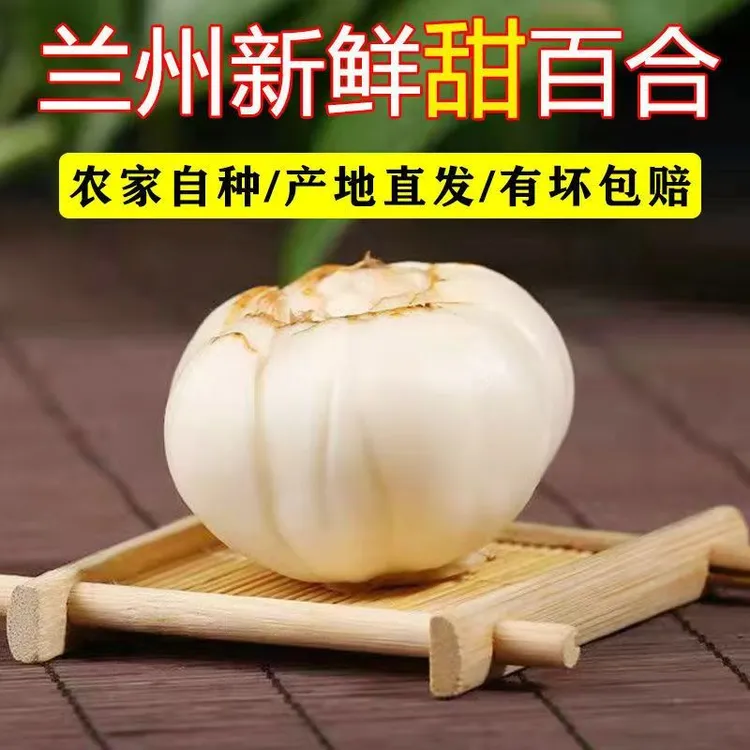 兰州高原新鲜甜百合9年生(中果）现采现发真空包装包邮到家