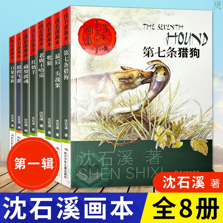 沈石溪动物小说全集画本全套8册 后一头战象斑羚飞渡