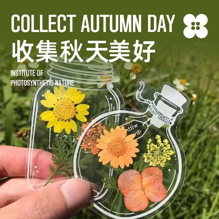 干花书签大号手工diy材料包透明标本自制树叶植物压花