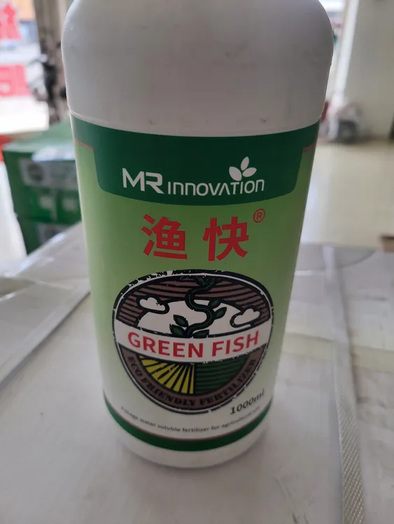 渔快生根绿叶促生长