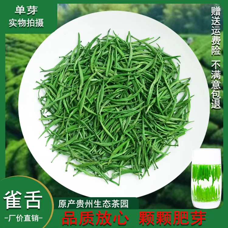  2025特级雀舌新茶叶高山绿茶春茶明前毛尖浓香型湄潭翠芽