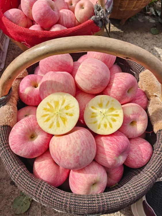 正宗寺河山当季红富士苹果新鲜脆甜多汁富含维C