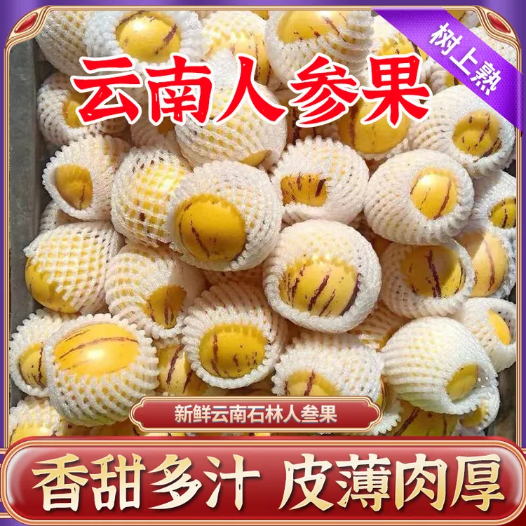 【云南人参果】石林七彩人参果新鲜水果树上熟大圆人叁人生果整箱