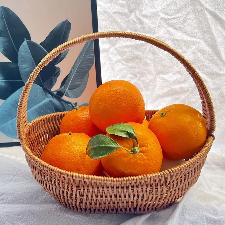 仿藤编水果篮菜篮加固田园采摘篮花篮塑料编织篮道具篮手提购物