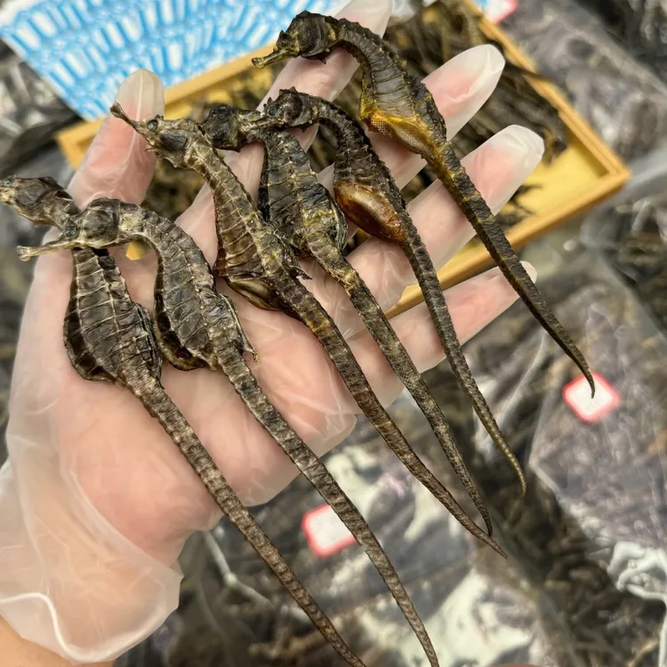 海马干货公母搭配可煲汤浸酒正品保真(无汤料包搭配)