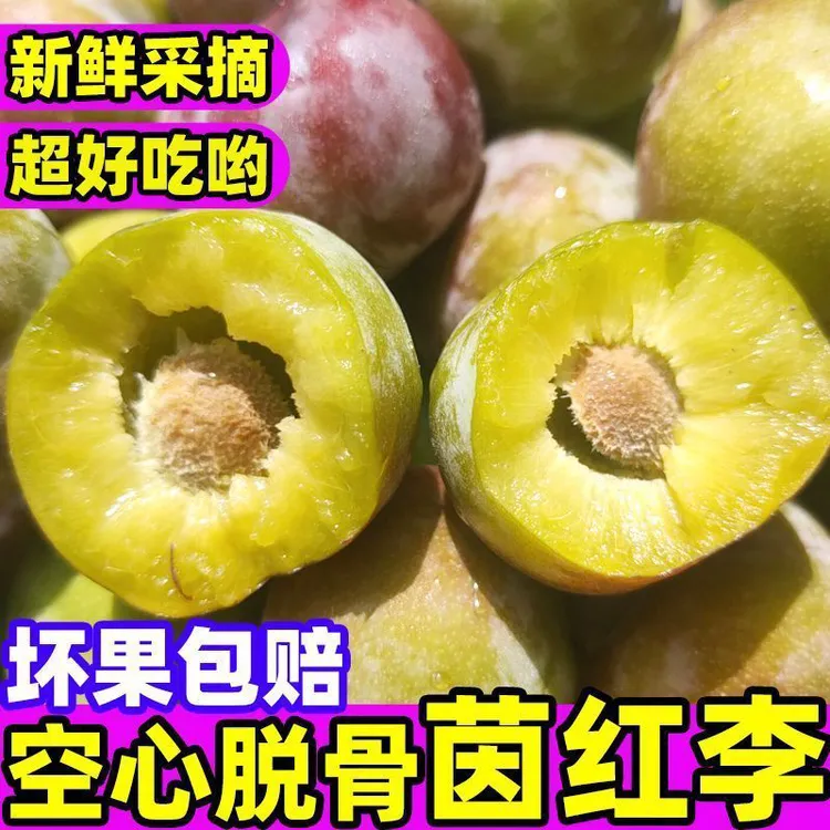顺丰包邮正宗脱骨半边红茵红李新鲜现摘脆甜多汁应季水果