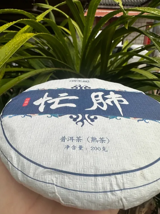 2024年忙肺春熟茶