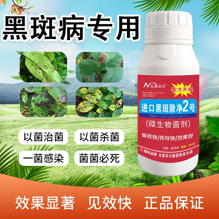 黑斑病专用杀菌剂茄子葡萄花卉番茄辣椒黑斑病防控微生物叶面肥