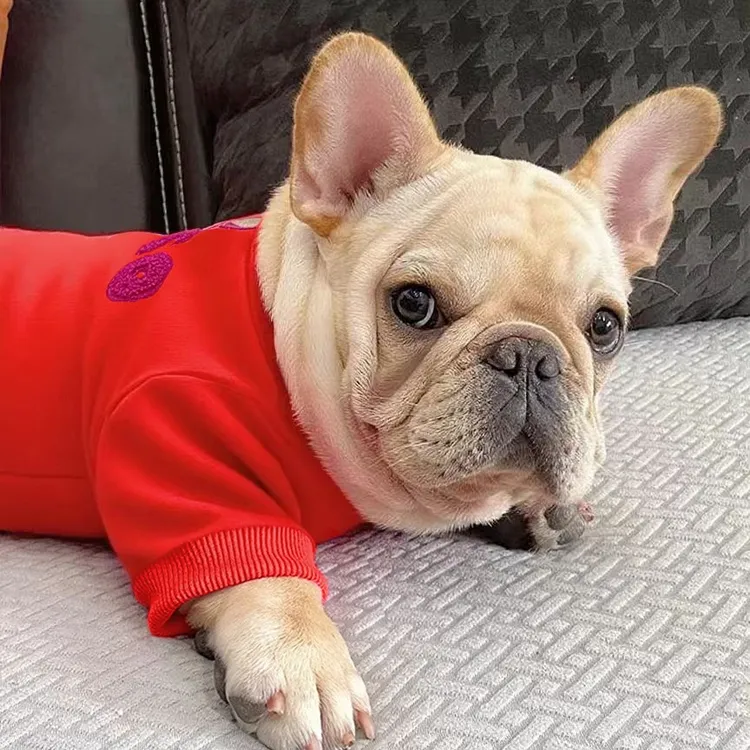 草莓熊风宠物卫衣冬装适用于法斗泰迪恶霸犬巴哥胖狗保暖加厚绒防