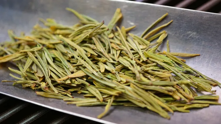 A48齐绽头春明前黄金芽花香带栗香
