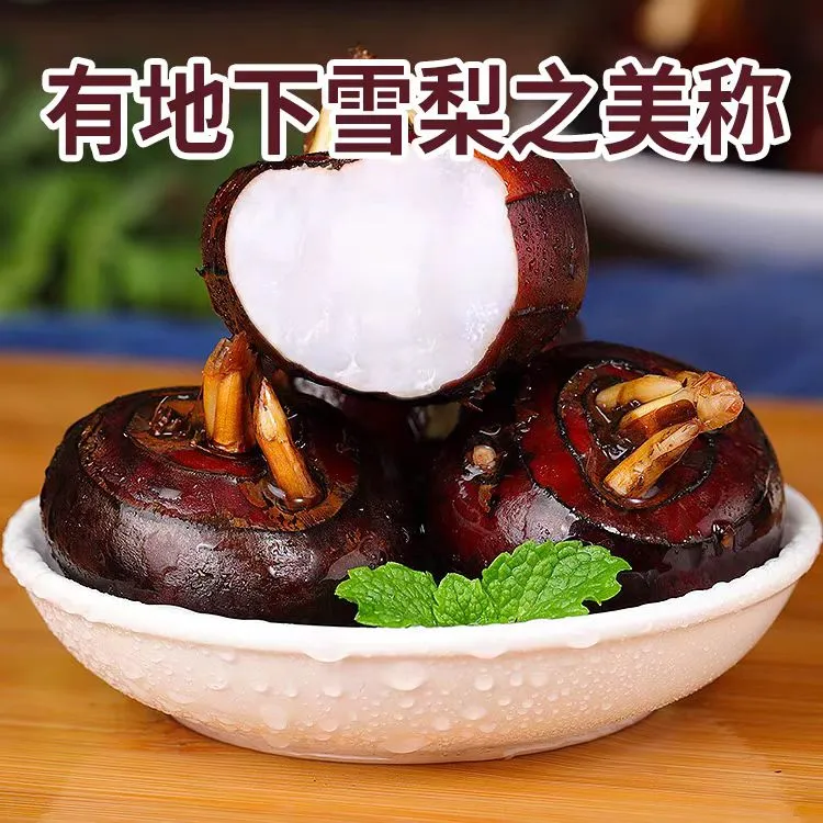 广西特产桂林现挖马蹄荸荠果脆甜多汁新鲜水果地梨应季蔬菜脆爽