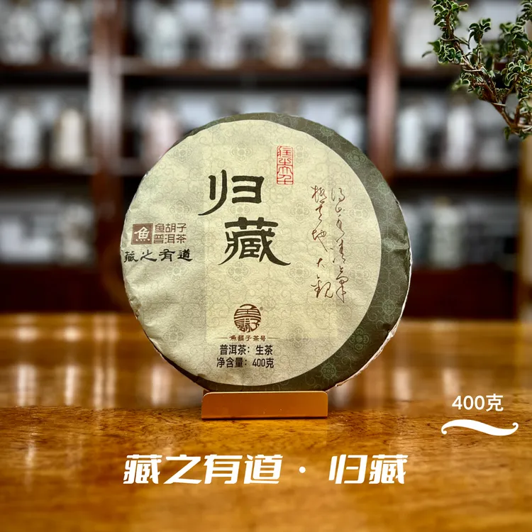 鱼胡子·藏之有道·归藏·400克（生茶）