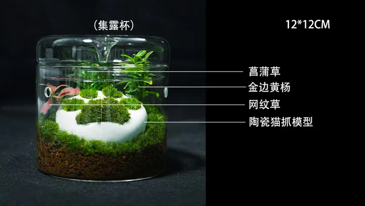 【猫喵】微景 菖蒲草 金边黄杨网纹草陶瓷猫抓模型